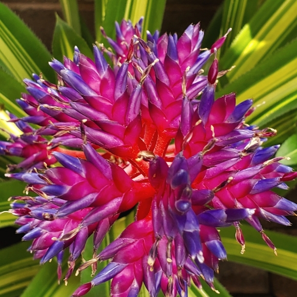 Meet your Posher. - Picture 1 of 2